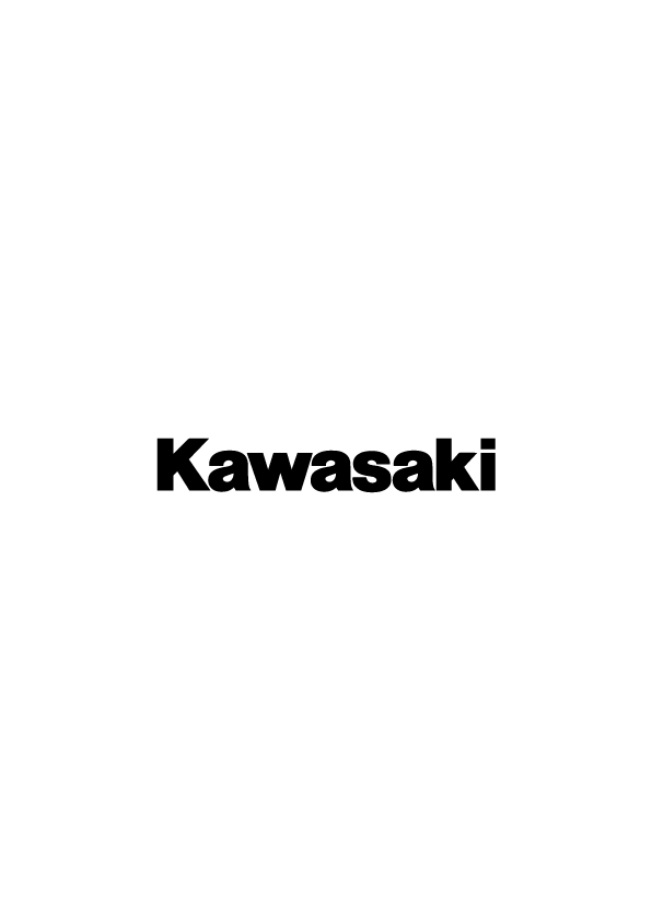 Kawasaki lettering sticker