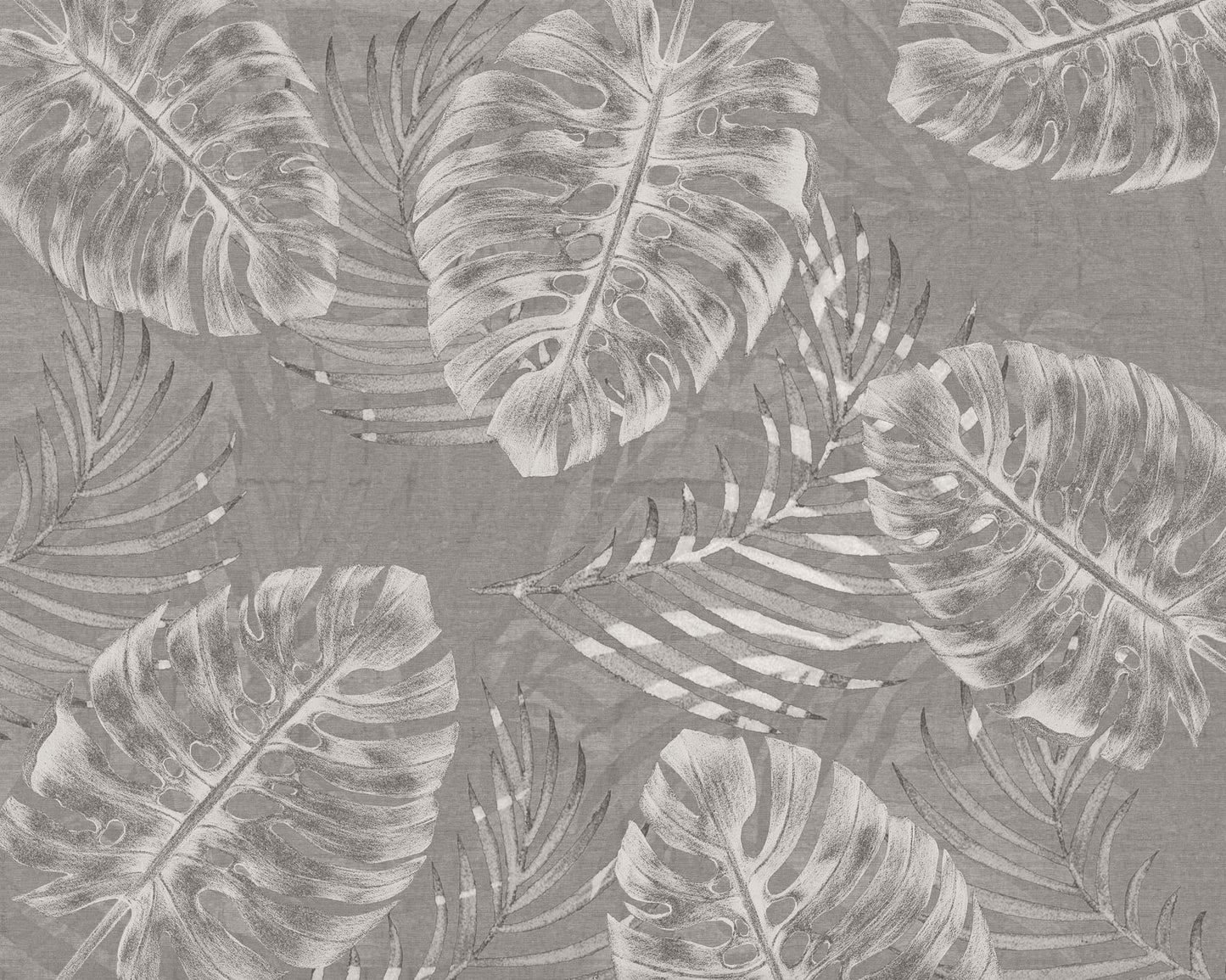 Wallpaper - Monstera