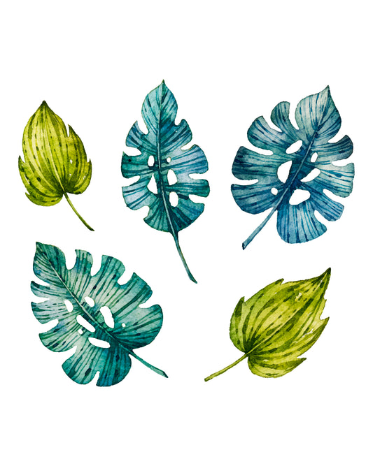 Wall Sticker - Monstera