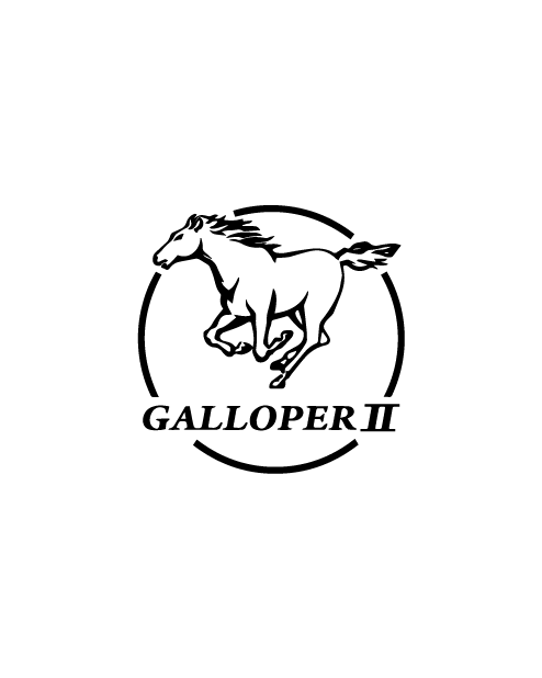 Hyundai Galloper II Sticker - Black