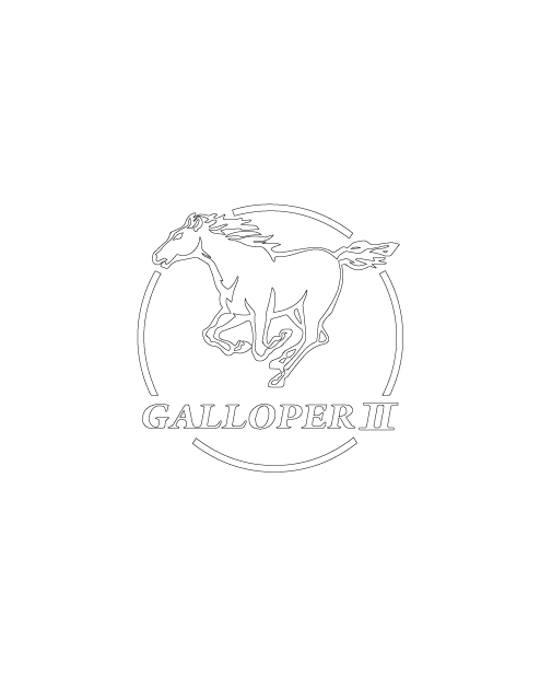 Hyundai Galloper II Sticker - White