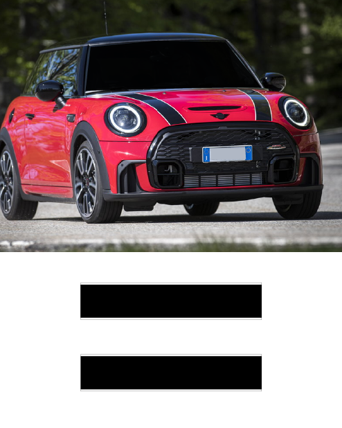 Sport Hood Strip Kit for Mini
