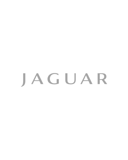 Jaguar Lettering Sticker - Grey