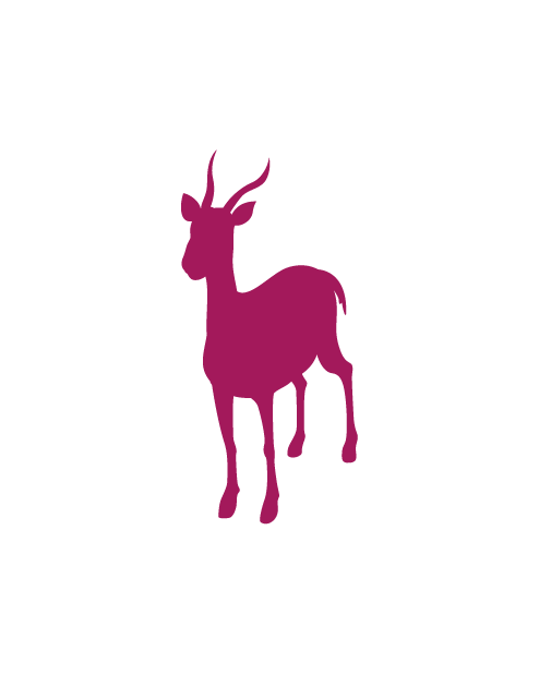 Antelope Sticker