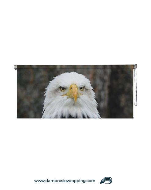 Blackout Roller Blind - Aquila