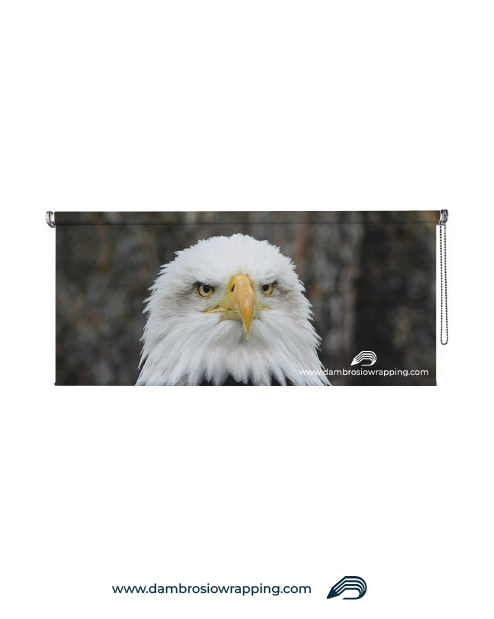 Blackout Roller Blind - Aquila