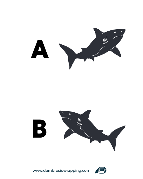 Stylized Shark Sticker