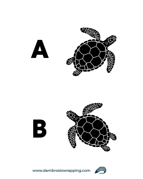 Stylized Turtle Sticker