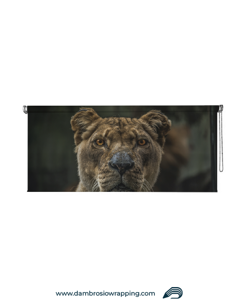 Blackout Roller Blind - Leonessa