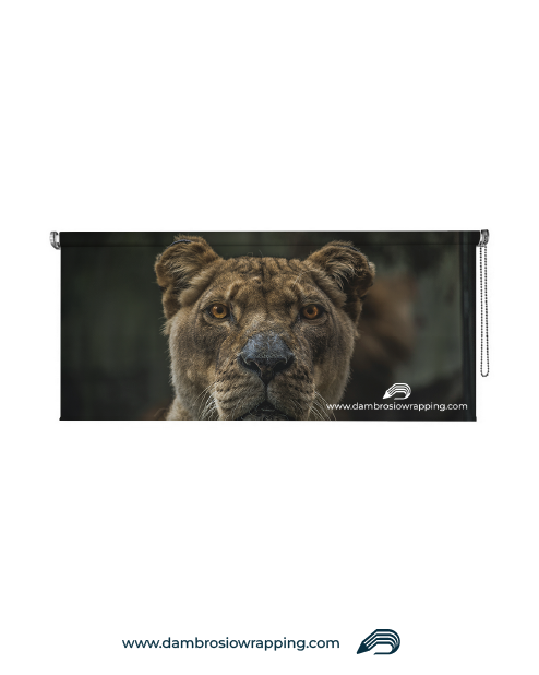 Blackout Roller Blind - Leonessa