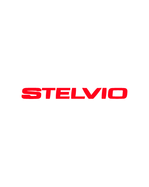 Adesivo Stelvio Logo Scritta