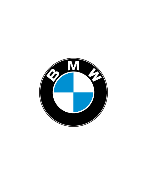 Adesivo Logo Bmw Stilizzato