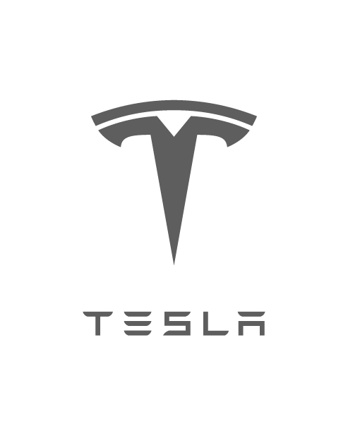 Adesivo Logo Completo Tesla - Grigio