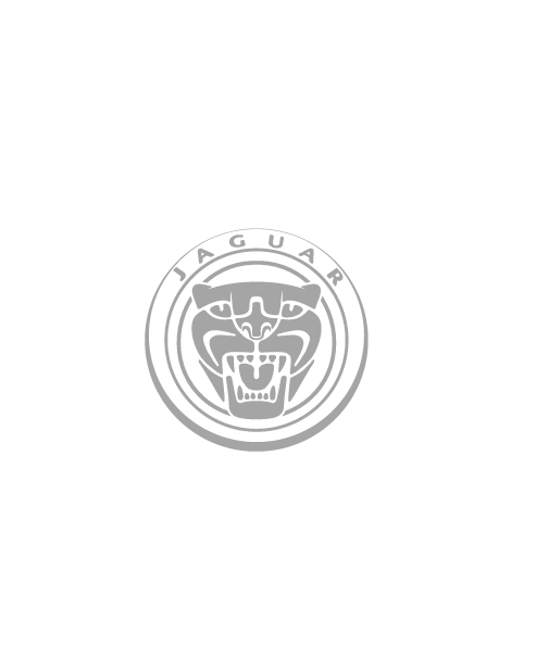 Adesivo Logo Jaguar Cerchio - Grigio